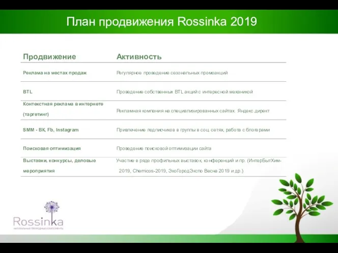 План продвижения Rossinka 2019