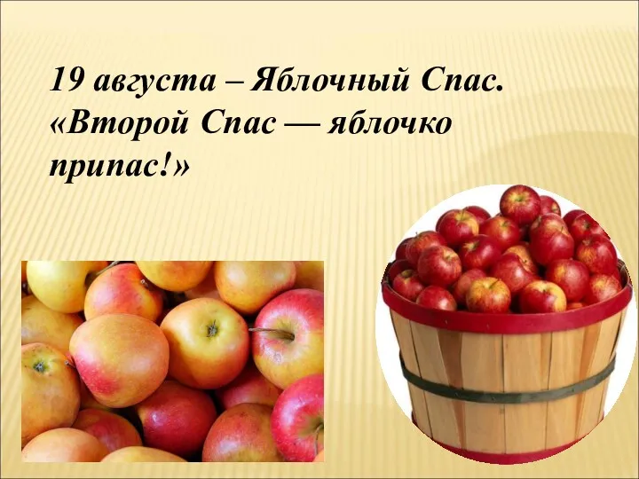 19 августа – Яблочный Спас. «Второй Спас — яблочко припас!»