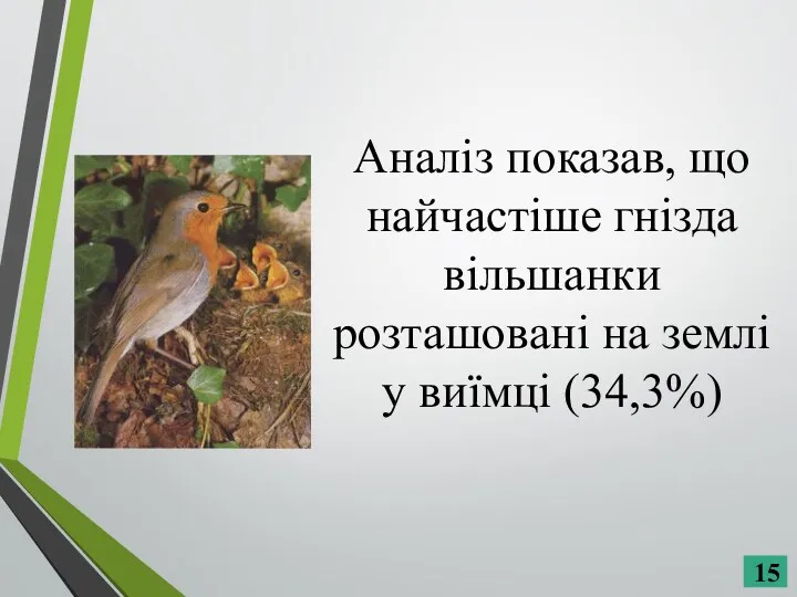 Аналіз показав, що найчастіше гнізда вільшанки розташовані на землі у виїмці (34,3%)