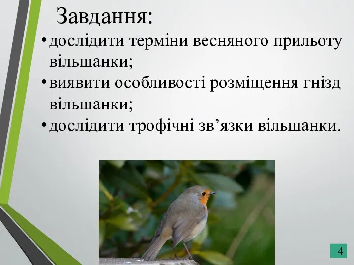 Завдання: дослідити терміни весняного прильоту вільшанки; виявити особливості розміщення гнізд вільшанки; дослідити трофічні зв’язки вільшанки.