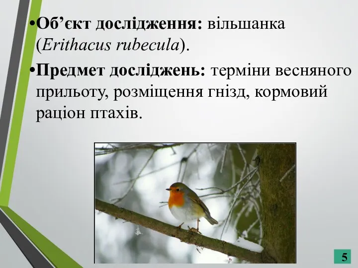 Об’єкт дослідження: вільшанка (Erithacus rubeculа). Предмет досліджень: терміни весняного прильоту, розміщення гнізд, кормовий раціон птахів.