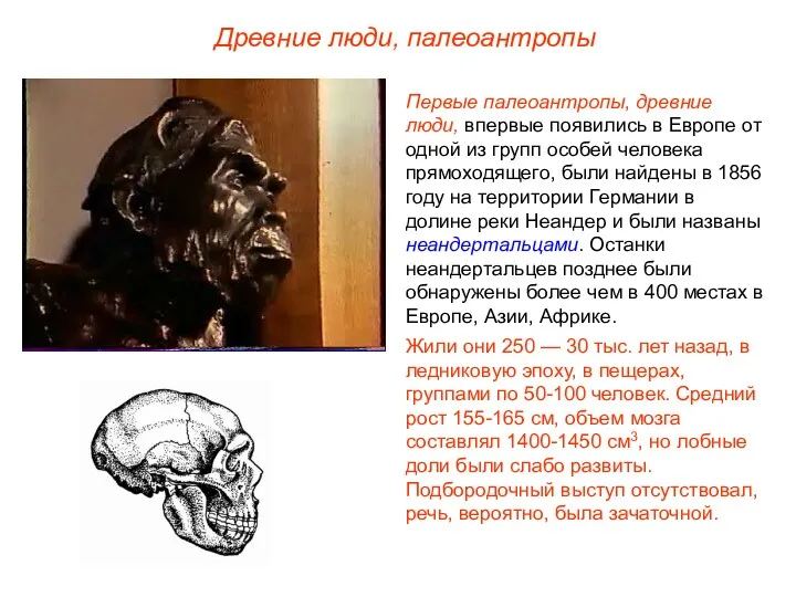 Первые палеоантропы, древние люди, впервые появились в Европе от одной
