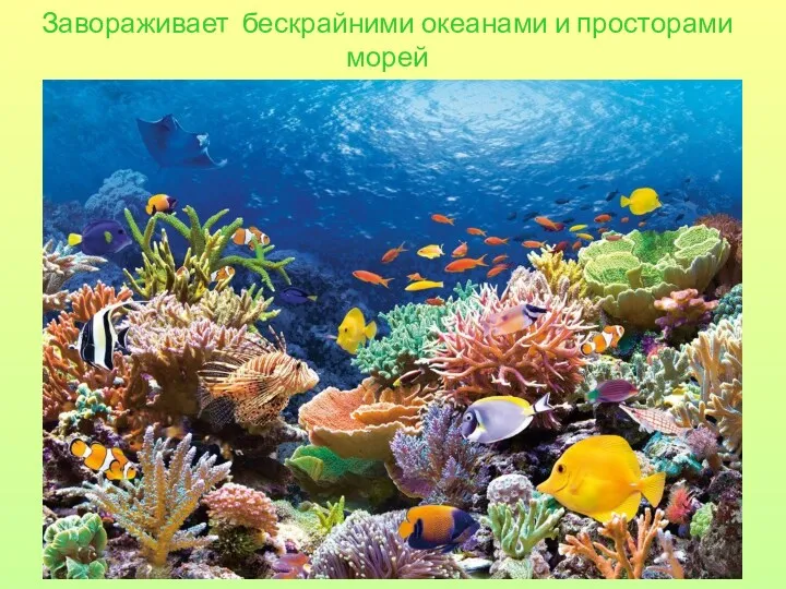 Завораживает бескрайними океанами и просторами морей