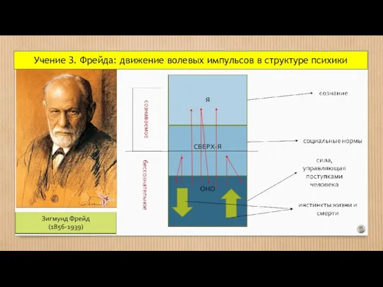 Учение З. Фрейда: движение волевых импульсов в структуре психики