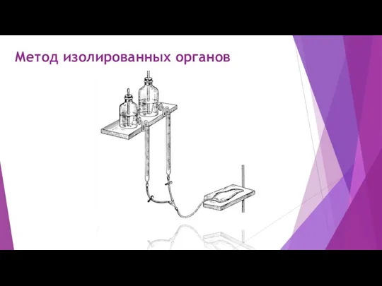 Метод изолированных органов