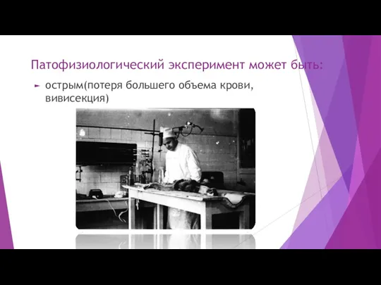 Патофизиологический эксперимент может быть: острым(потеря большего объема крови, вивисекция)