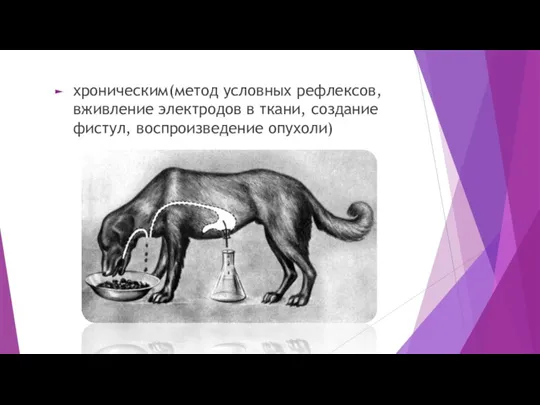 хроническим(метод условных рефлексов, вживление электродов в ткани, создание фистул, воспроизведение опухоли)