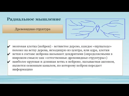 Радиальное мышление мозговая клетка (нейрон) - ветвистое дерево, каждое «щупальце»