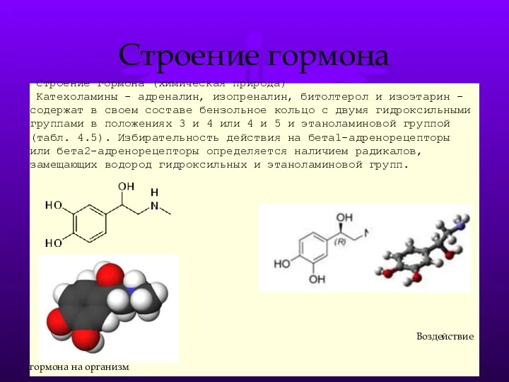 Строение гормона (химическая природа) Катехоламины - адреналин, изопреналин, битолтерол и изоэтарин - содержат