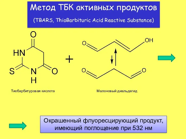 Метод ТБК активных продуктов (TBARS, ThioBarbituric Acid Reactive Substance) +