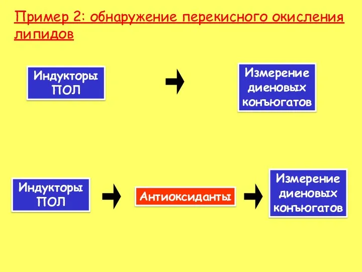 Пример 2: обнаружение перекисного окисления липидов Индукторы ПОЛ Измерение диеновых