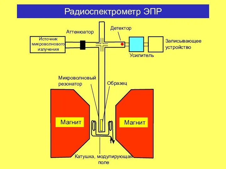 Усилитель Записывающее устройство Аттенюатор Источник микроволнового излучения Микроволновый резонатор Детектор Образец Радиоспектрометр ЭПР