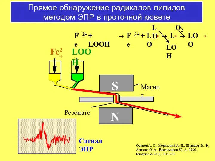 Прямое обнаружение радикалов липидов методом ЭПР в проточной кювете Резонатор