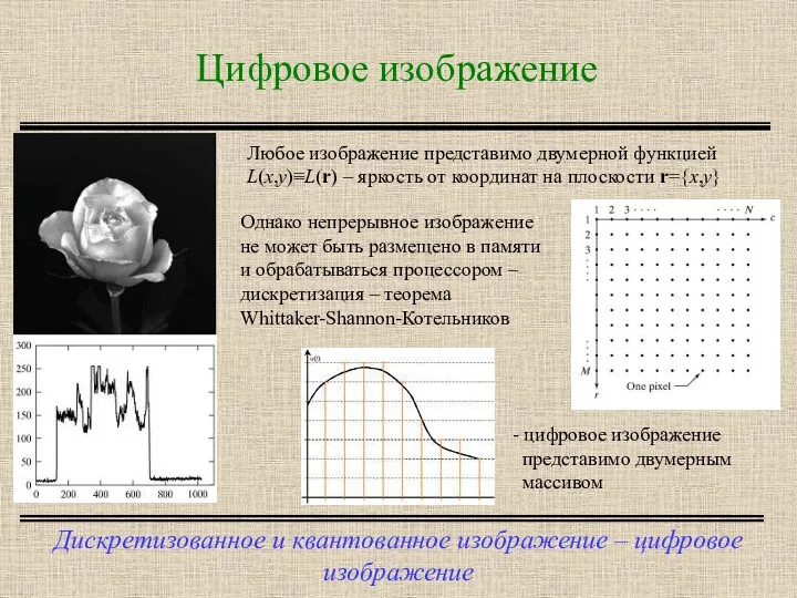 Дискретизованное и квантованное изображение – цифровое изображение Цифровое изображение Любое