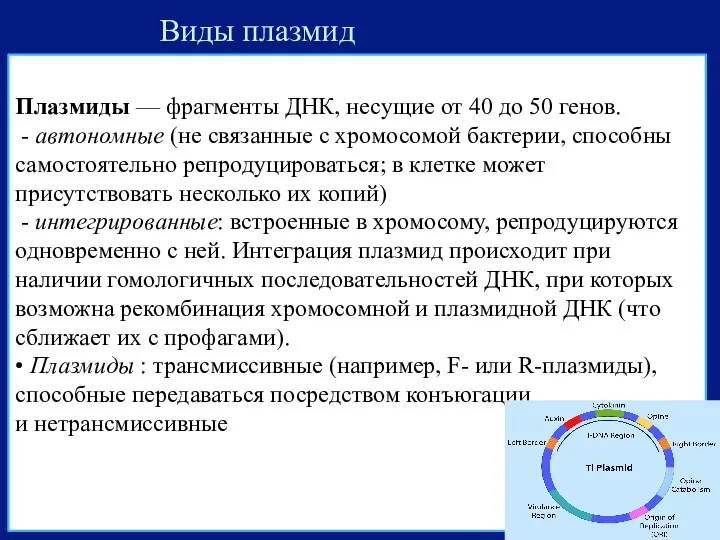 Виды плазмид Плазмиды — фрагменты ДНК, несущие от 40 до