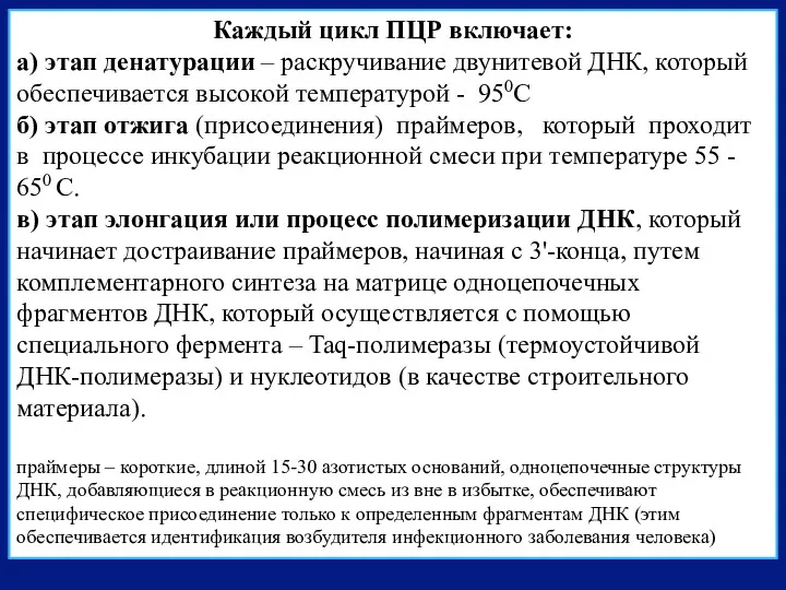 Каждый цикл ПЦР включает: а) этап денатурации – раскручивание двунитевой