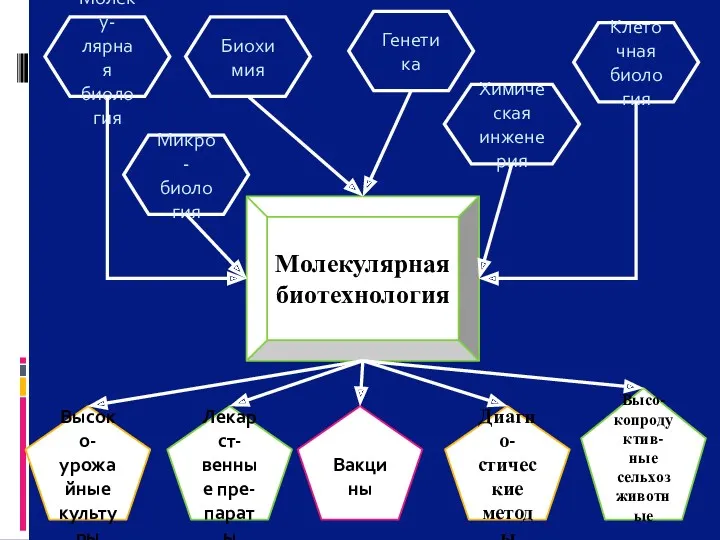 Молеку- лярная биология Микро- биология Биохимия Химическая инженерия Генетика Клеточная