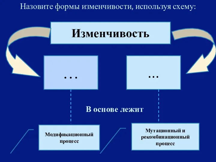 Назовите формы изменчивости, используя схему: Изменчивость … … В основе