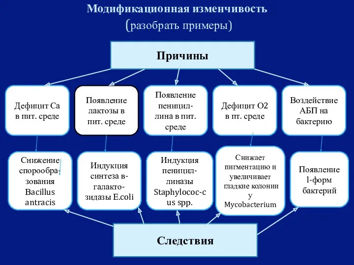 Модификационная изменчивость (разобрать примеры) Причины Дефицит Са в пит. среде