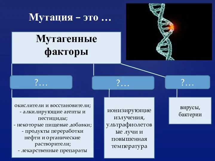 Мутация – это … Мутагенные факторы ?… ?… ?… окислители