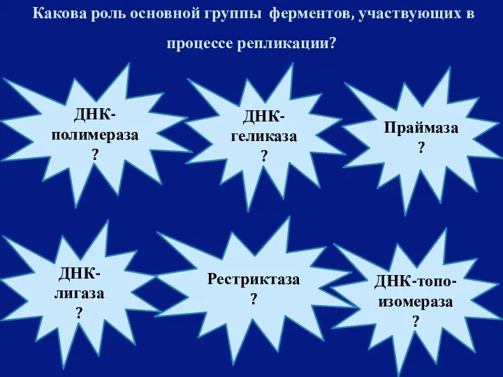 Какова роль основной группы ферментов, участвующих в процессе репликации? ДНК-геликаза