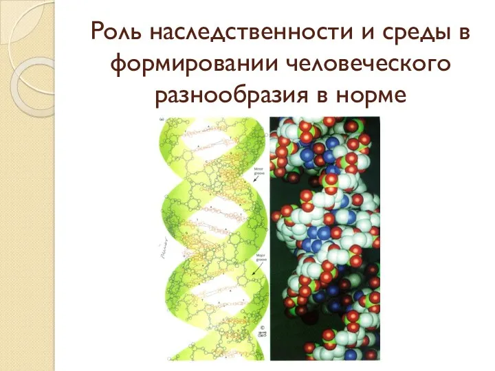 Роль наследственности и среды в формировании человеческого разнообразия в норме