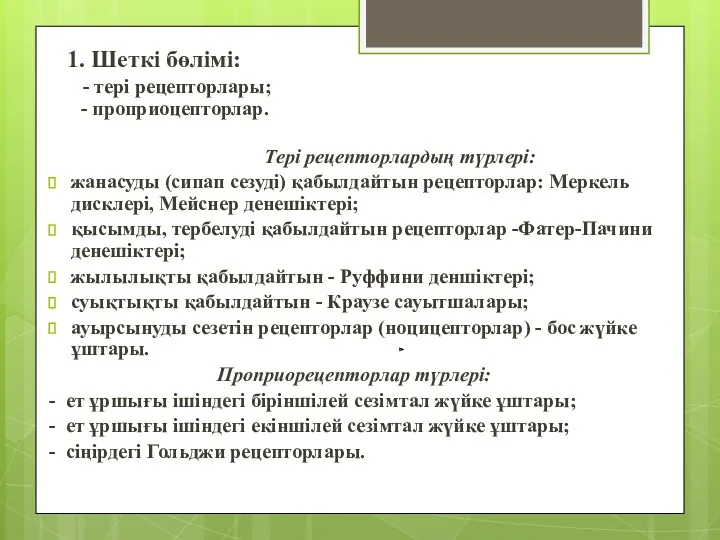 1. Шеткі бөлімі: - тері рецепторлары; - проприоцепторлар. Тері рецепторлардың