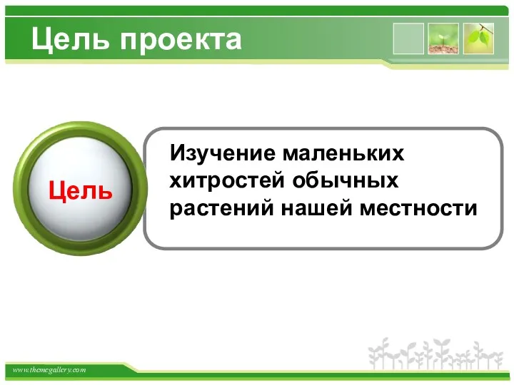 Цель проекта Text in here Text in here Text in
