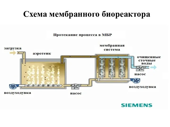 Схема мембранного биореактора