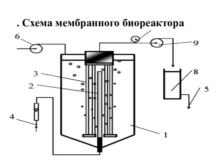. Схема мембранного биореактора