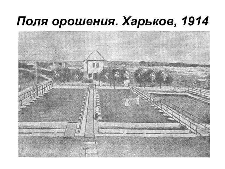 Поля орошения. Харьков, 1914