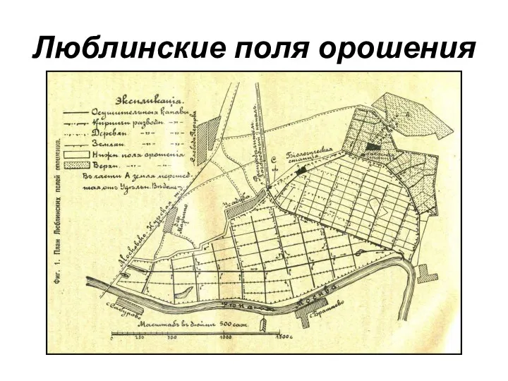 Люблинские поля орошения