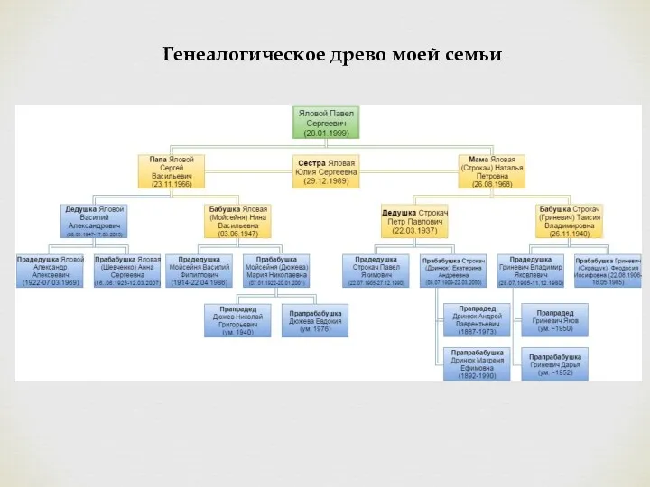 Генеалогическое древо моей семьи