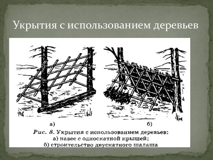 Укрытия с использованием деревьев