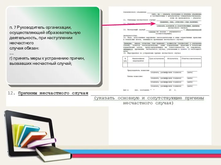 п. 7 Руководитель организации, осуществляющей образовательную деятельность, при наступлении несчастного