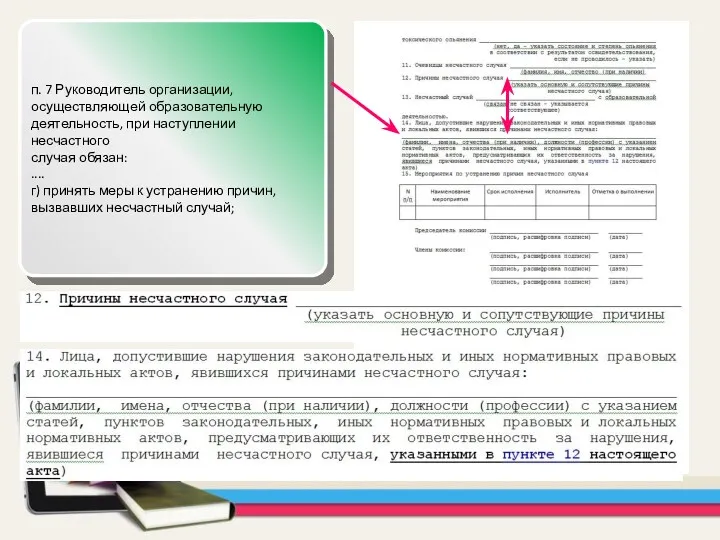 п. 7 Руководитель организации, осуществляющей образовательную деятельность, при наступлении несчастного