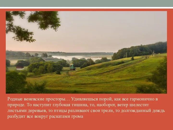 Родные веневские просторы… Удивляешься порой, как все гармонично в природе.