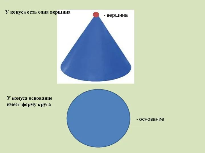 - вершина - основание У конуса есть одна вершина У конуса основание имеет форму круга