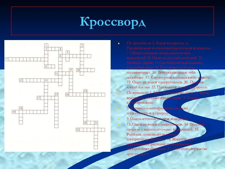 Кроссворд По горизонтали: 3. Бурая водоросль. 6. Пресноводная зеленая многоклеточная