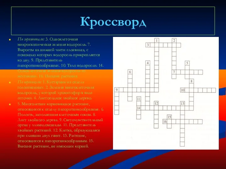 Кроссворд По горизонтали: 3. Одноклеточная микроскопическая зеленая водоросль. 7. Выросты