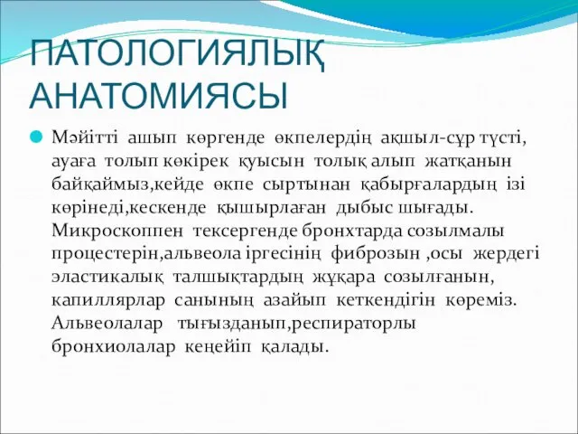 ПАТОЛОГИЯЛЫҚ АНАТОМИЯСЫ Мәйітті ашып көргенде өкпелердің ақшыл-сұр түсті,ауаға толып көкірек