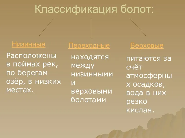 Классификация болот: Низинные Переходные Верховые Расположены в поймах рек, по