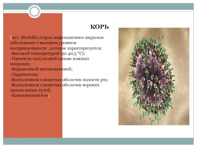 КОРЬ (лат. Morbilli) острое инфекционное вирусное заболевание с высоким уровнем