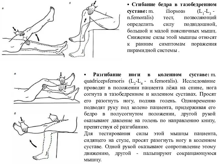 • Сгибание бедра в тазобедренном суставе: m. iliopsoas (L1-L3 - n.femoralis) тест, позволяющий