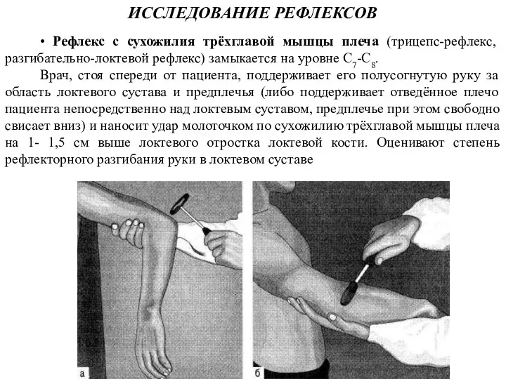 ИССЛЕДОВАНИЕ РЕФЛЕКСОВ • Рефлекс с сухожилия трёхглавой мышцы плеча (трицепс-рефлекс, разгибательно-локтевой рефлекс) замыкается