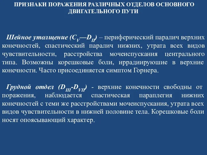 Шейное утолщение (СV—DII) – периферический паралич верхних конечностей, спастический паралич нижних, утрата всех