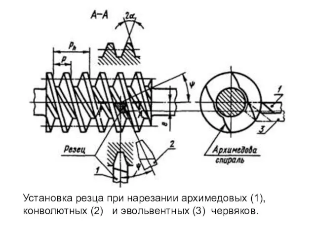 Установка резца при нарезании архимедовых (1), конволютных (2) и эвольвентных (3) червяков.