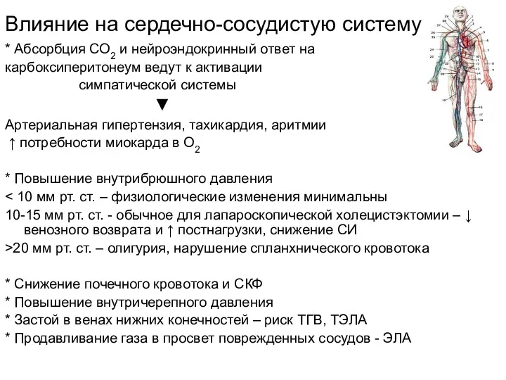 Влияние на сердечно-сосудистую систему * Абсорбция СО2 и нейроэндокринный ответ