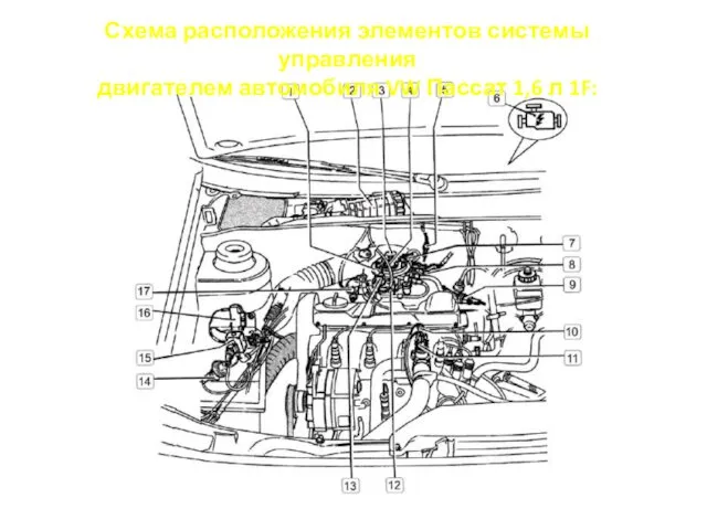 Схема расположения элементов системы управления двигателем автомобиля VW Пассат 1,6 л 1F: