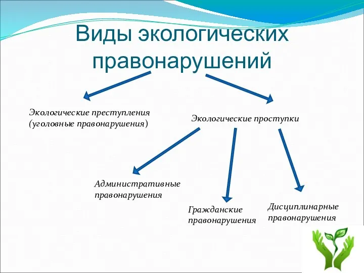 Виды экологических правонарушений Экологические преступления (уголовные правонарушения) Экологические проступки Дисциплинарные правонарушения Гражданские правонарушения Административные правонарушения